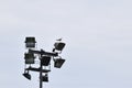 Seagull on stadium spotlights with white sky Royalty Free Stock Photo