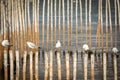 Seagull standing on bamboo Royalty Free Stock Photo