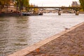 Seagull standing on the bank of Seine river in Paris Royalty Free Stock Photo