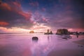 Seagull standing on beach with seastacks and colorful clouds