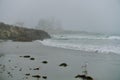 Sea gull staring out at Atlantic Ocean on dark, foggy day as waves roll in to shore Royalty Free Stock Photo