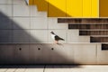 a seagull standing on the steps of a building