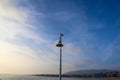 A seagull standing on top of a curved light post with blue sky and clouds at Surfers Point at Seaside Park Royalty Free Stock Photo