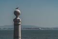 A seagull stands on top of a pole in front of the river Tejo, in Lisbon, Portugal. Royalty Free Stock Photo