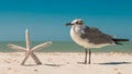 Seagull and starfish. Ocean or sea birds on the beach. Spring or summer vacations. Beautiful blue sky and turquoise ocean water. Q