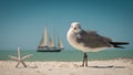 Seagull, starfish and sailboat. Ocean or sea birds on the beach. Spring or summer vacations. Blue sky and turquoise ocean water. Q