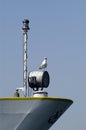 Seagull on stern of ship