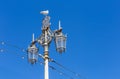 Seagull on a street lantern Royalty Free Stock Photo