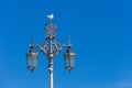Seagull on a street lantern Royalty Free Stock Photo