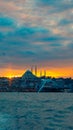 Seagull and Suleymaniye Mosque view at sunset. Istanbul vertical photo Royalty Free Stock Photo