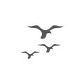 seagull  symbol and icon Royalty Free Stock Photo