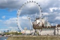 Seagull at the Thames River in London Royalty Free Stock Photo