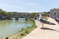 Seagull admiring Tiber River, Vittorio Emanuele II Bridge in the background. Rome, Italy. Royalty Free Stock Photo