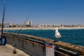 Seagull on the Venice Pier Los Angeles