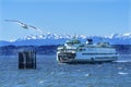 Seagull Washington State Ferry Boat Olympic Mountain Range Edmonds Washington Royalty Free Stock Photo