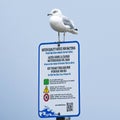 Seagull on Water Quality Notice for Bacteria Sign