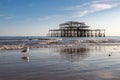 A seagull and the West Pier in Brighton, with reflections in the sand at low tide Royalty Free Stock Photo