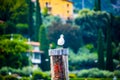 Seagull on wooden mooring post Royalty Free Stock Photo