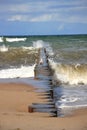 Seagull on wooden piles in the sea