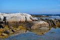 Seagull on worn smooth granite rocks beside Atlantic Ocean