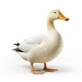 Quantumpunk Duckcore: A Playful And Realistic Rendering Of A Large White Duck
