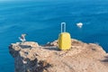 Seagull and yellow suitcase on mountain top. Yacht floating on ocean. Vacation time freedom and summer time concept Royalty Free Stock Photo