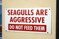 Seagulls are aggressive warning sign. Royalty Free Stock Photo