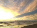 Seagulls on Atlantic Ocean Beach during Dawn with Crepuscular Rays.