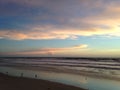 Seagulls on Atlantic Ocean Beach during Dawn. Royalty Free Stock Photo