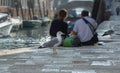 Seagulls on the background of the Venetian canal and tourists