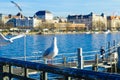 Seagulls on the bank of the Limmat River, in Zurich Royalty Free Stock Photo