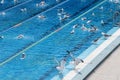 seagulls bathe in a sports swimming pool close-up Royalty Free Stock Photo