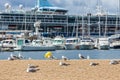 Seagulls on the beach, fisher boats and cruise ship