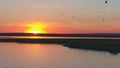 Seagulls bird fly above the river at sunset time. Birds fly at sunset. Sunset on the river, aerial Royalty Free Stock Photo