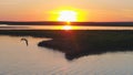 Seagulls bird fly above the river at sunset time. Birds fly at sunset. Sunset on the river, aerial Royalty Free Stock Photo