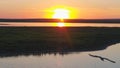 Seagulls bird fly above the river at sunset time. Birds fly at sunset. Sunset on the river, aerial Royalty Free Stock Photo