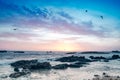 Seagulls in the blue sky over the ocean Royalty Free Stock Photo