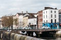 Seagulls in the canal of the Irish town of Cork