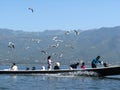 Seagulls and canoe