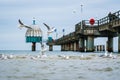 Seagulls catching fish in the baltic sea with pier in the background Royalty Free Stock Photo