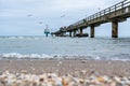 Seagulls catching fish in the baltic sea with pier in the background and seashells in the foreground Royalty Free Stock Photo