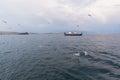 Seagulls circle around the ferry going to Olkhon Island in the Olkhonskiye Vorota Strait. Russia, lake Baikal, Siberia Royalty Free Stock Photo