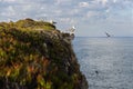 Seagulls in a cliff in the Portuguese coast