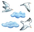 Seagulls and clouds watercolor hand painted clip art illustration. Royalty Free Stock Photo