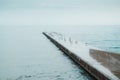 Seagulls on concrete dock at sea