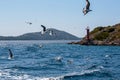 Seagulls at Croatian Sea Royalty Free Stock Photo