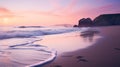 seagulls early morning beach california Royalty Free Stock Photo