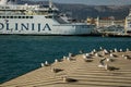 Seagulls in the ferry port of Split, Croatia.