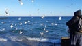 Seagulls fighting for the catching a piece of bread. Flock of seagulls . Sea gulls flying in the blue sunny sky over the Royalty Free Stock Photo