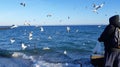 Seagulls fighting for the catching a piece of bread. Flock of seagulls . Sea gulls flying in the blue sunny sky over the Royalty Free Stock Photo